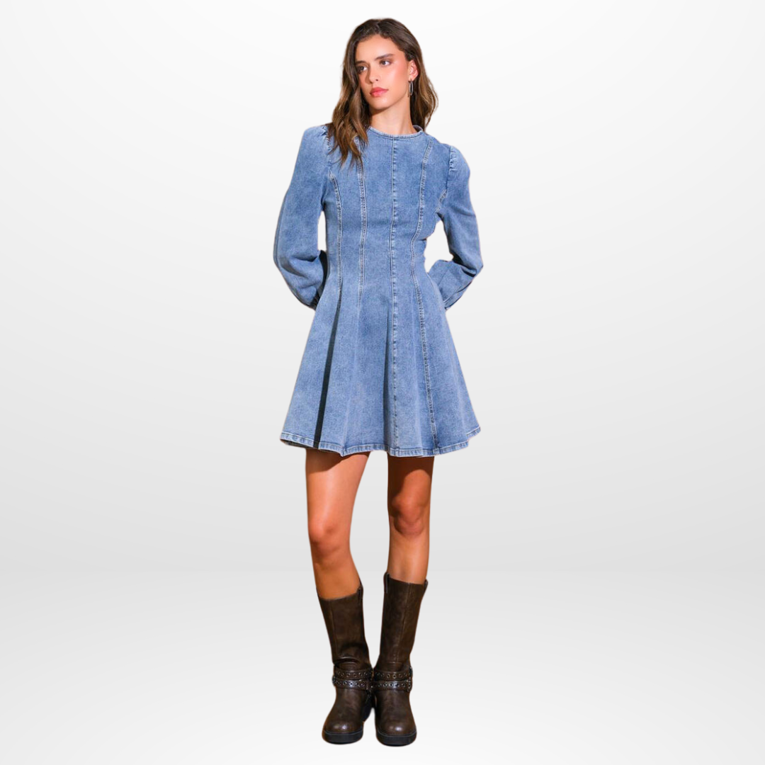 Denim Darling Mini Dress